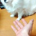 おやつが無い状態で…