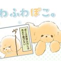 ふわふわぽこ。【第1…