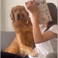 ソファで本を読もう…