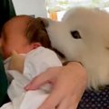 赤ちゃんに困惑して…