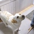 不思議な味？初めて…