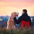 犬が『飼い主を気に…