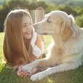 犬が飼い主に『あり…