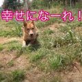 保健所から引き出さ…