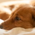 普段の生活でひと工…