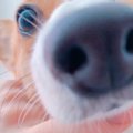 寝起き一番の光景がT…