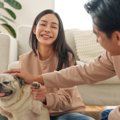 愛犬を『幸せ』にす…
