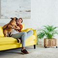 犬の超危険な『5つの…