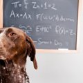 大学キャンパスで働…