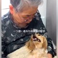 おばあちゃんと犬の…