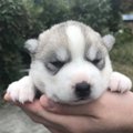 【話題】破壊力抜群…