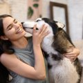 犬が『頭をこすりつ…