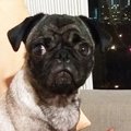ウメとの〜んびり! i…