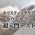 ホリスティックケア…
