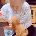 家にきて6日目の赤ち…