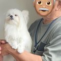 犬を連れて『おじい…