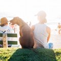 犬の散歩で飼い主も…