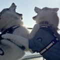 行きの船で『大喧嘩…
