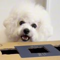 せっかく手作りした…