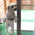 いらっしゃい！大喜…