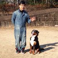 犬の社会化トレーニ…