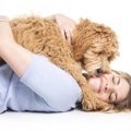 犬が人の上に乗りた…