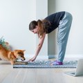 犬が怖がってしまう…