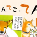 てんてこ、てん。【…