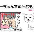 ちーちゃんですけど…