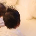 マヂカルラブリー村…