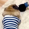 『仕事するから、お…