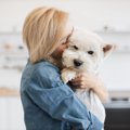 犬が抱っこを嫌がっ…