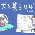犬と暮らせば【第123…