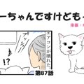 ちーちゃんですけど…