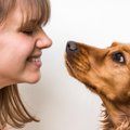 犬に依存してしまう…
