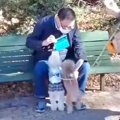 犬がおじいちゃんと…