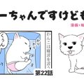 ちーちゃんですけど…