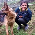 犬と関わる職業につ…