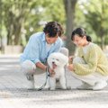 あなたの犬を『一番…