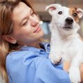 犬にとっては逆効果…