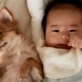 天使たちにキュン♡赤…