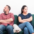 犬が『不安』だと感…