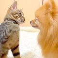 友達のように仲良く…