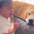 高熱が出てぐずって…