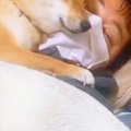 体調を崩した夫→心配…
