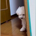部屋で泣いていたら…