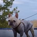 山の中にある「天空…