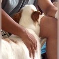 手術をしたお父さん…