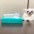 セーフ？アウト？乗…