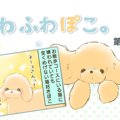 ふわふわぽこ。【第1…